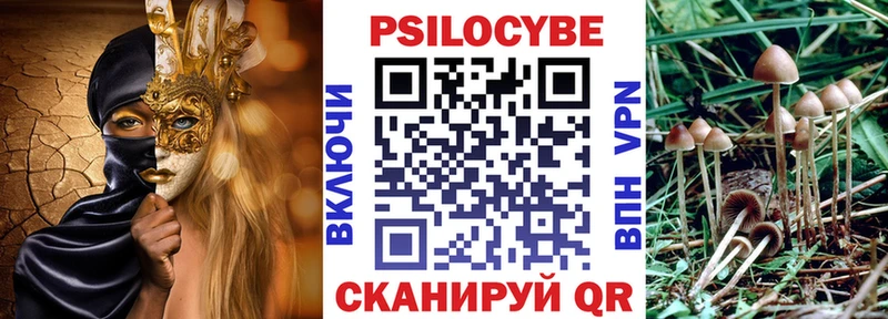 Псилоцибиновые грибы прущие грибы  купить наркотик  МЕГА рабочий сайт  Абинск 